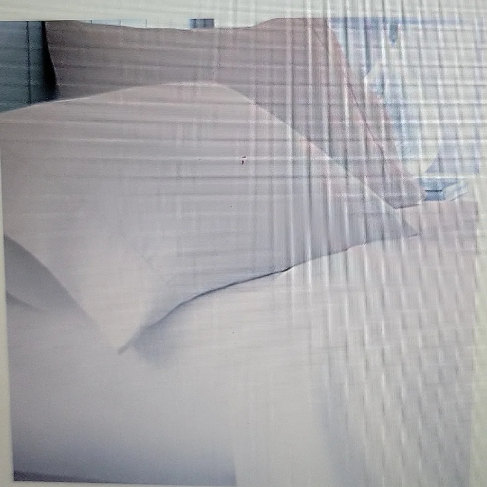 THREAD SPREAD SAND 4 PC SHEET SET QUEEN 1000 THREAD COUNT Egyptian Cotton New …